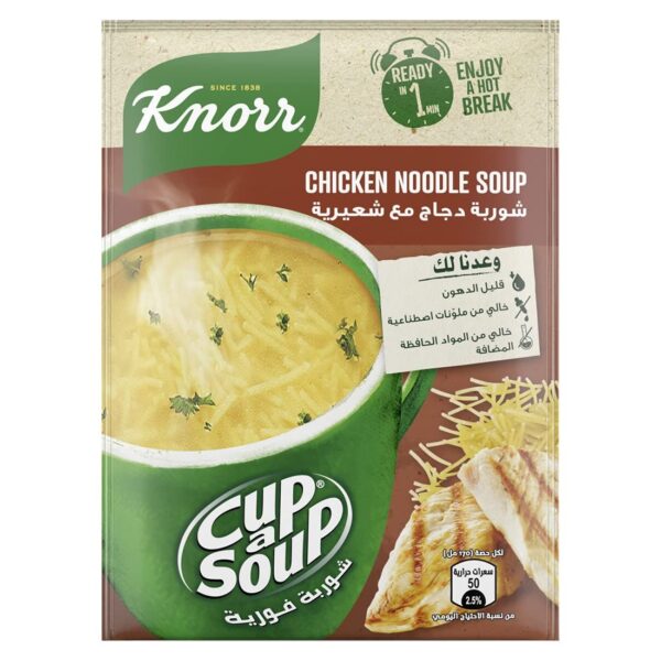 Knorr Cup Noodle Soup Chicken Noodle Soup 15g x 4